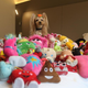 Vicky Nina, a clever dog, with her toys.